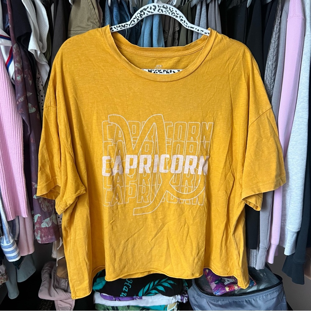 Aerie Real Soft Oversized Tee Capricorn